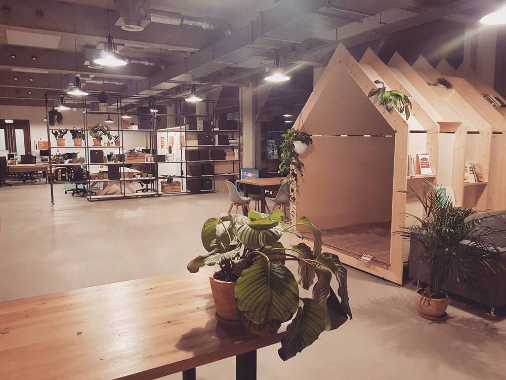 An open-plan office with a small wooden cabin-style nook and plants.