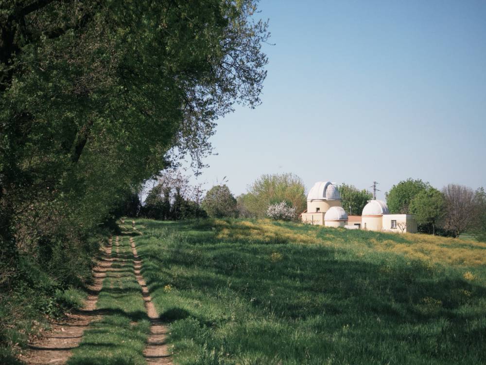 a calm countryside road 🌳