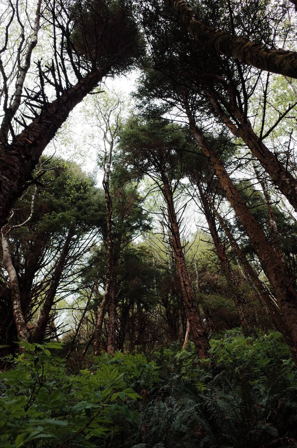coastal wandering continues