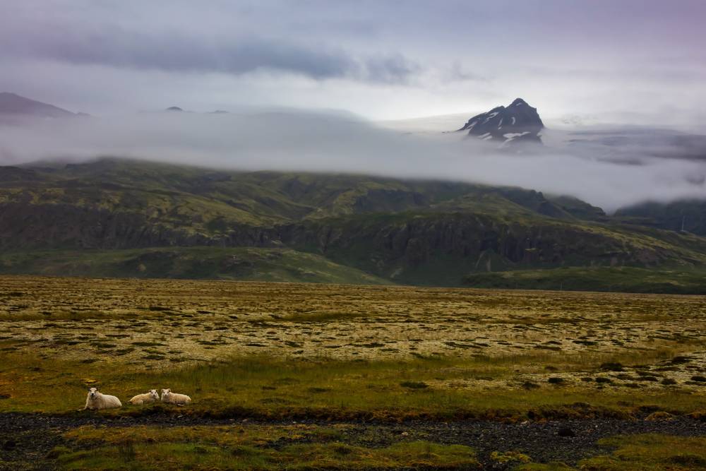 Once Upon a Time in Iceland