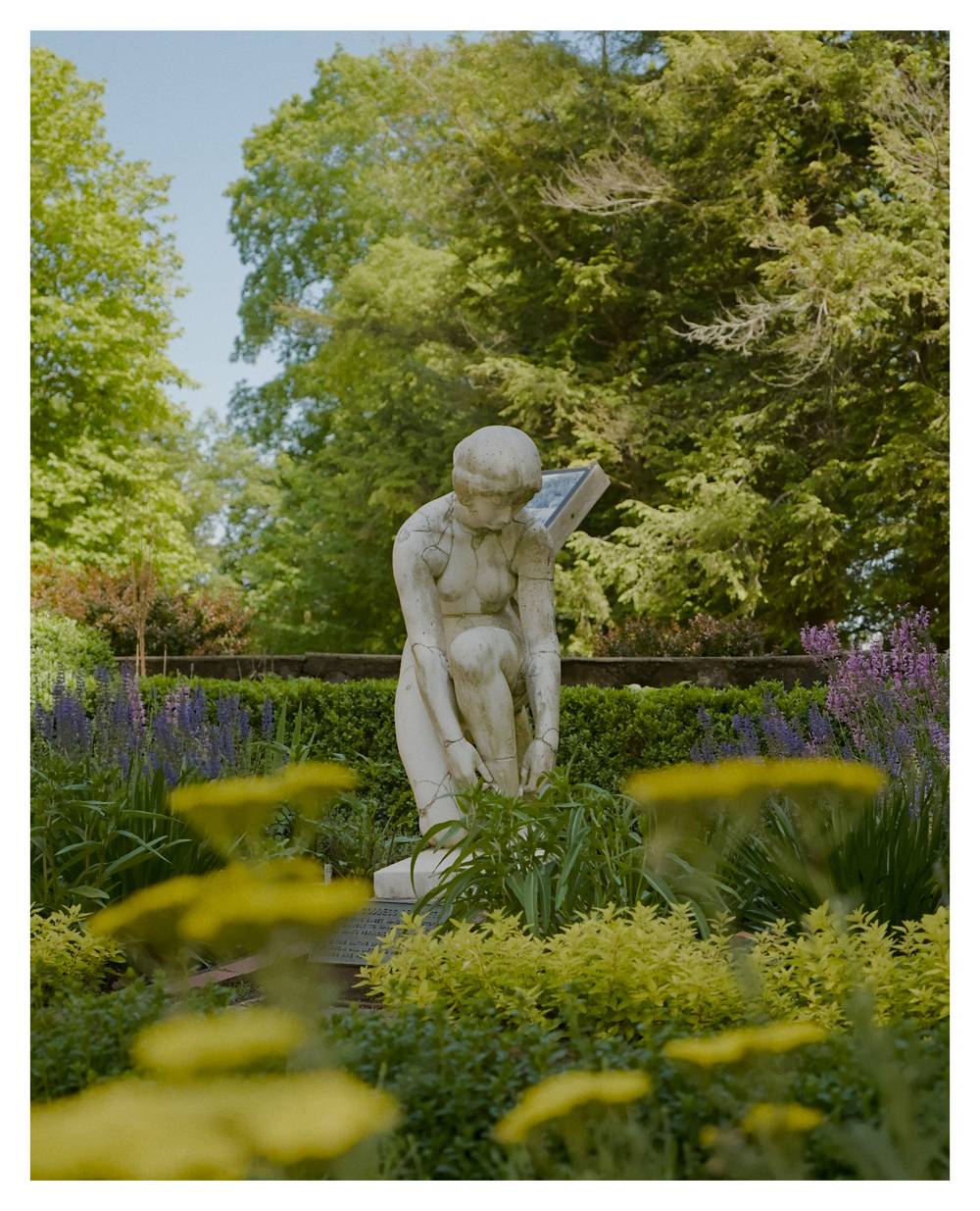 Visit to a garden