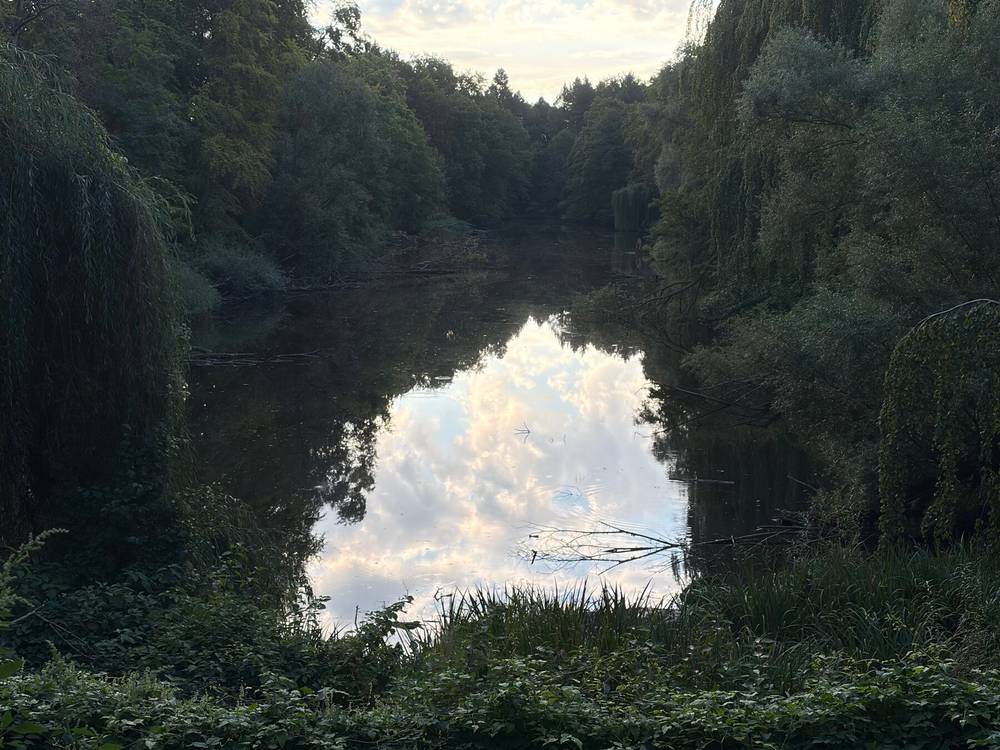 foto vom möwensee im volkspark rehberge, im wasser reflektiert sich der wolkige himmel, der se ist dicht mit saftigen, grünen bäumen zugewachsen.