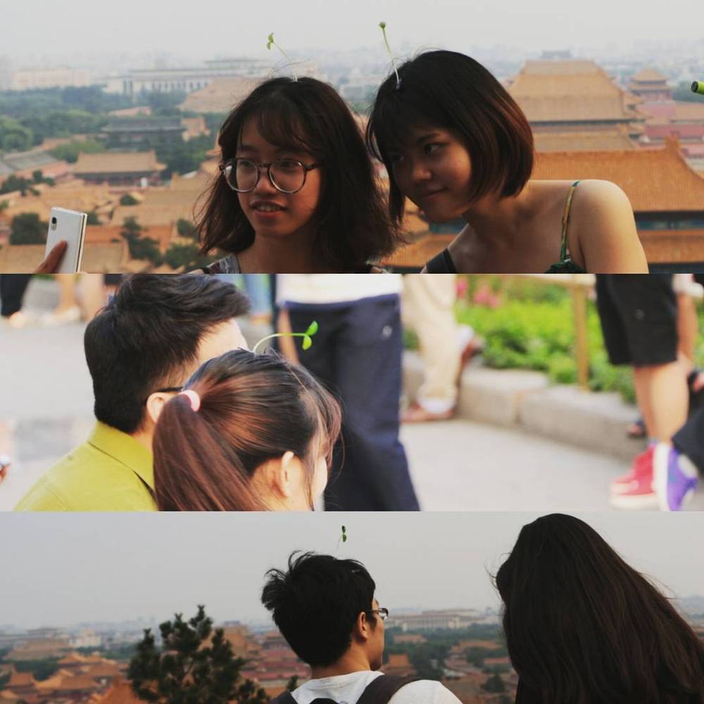 A collage of people taking photos and looking out over a city from a hillside vantage point.