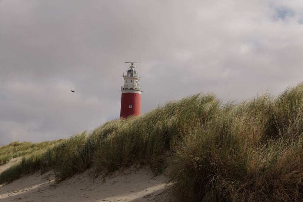 Am Meer