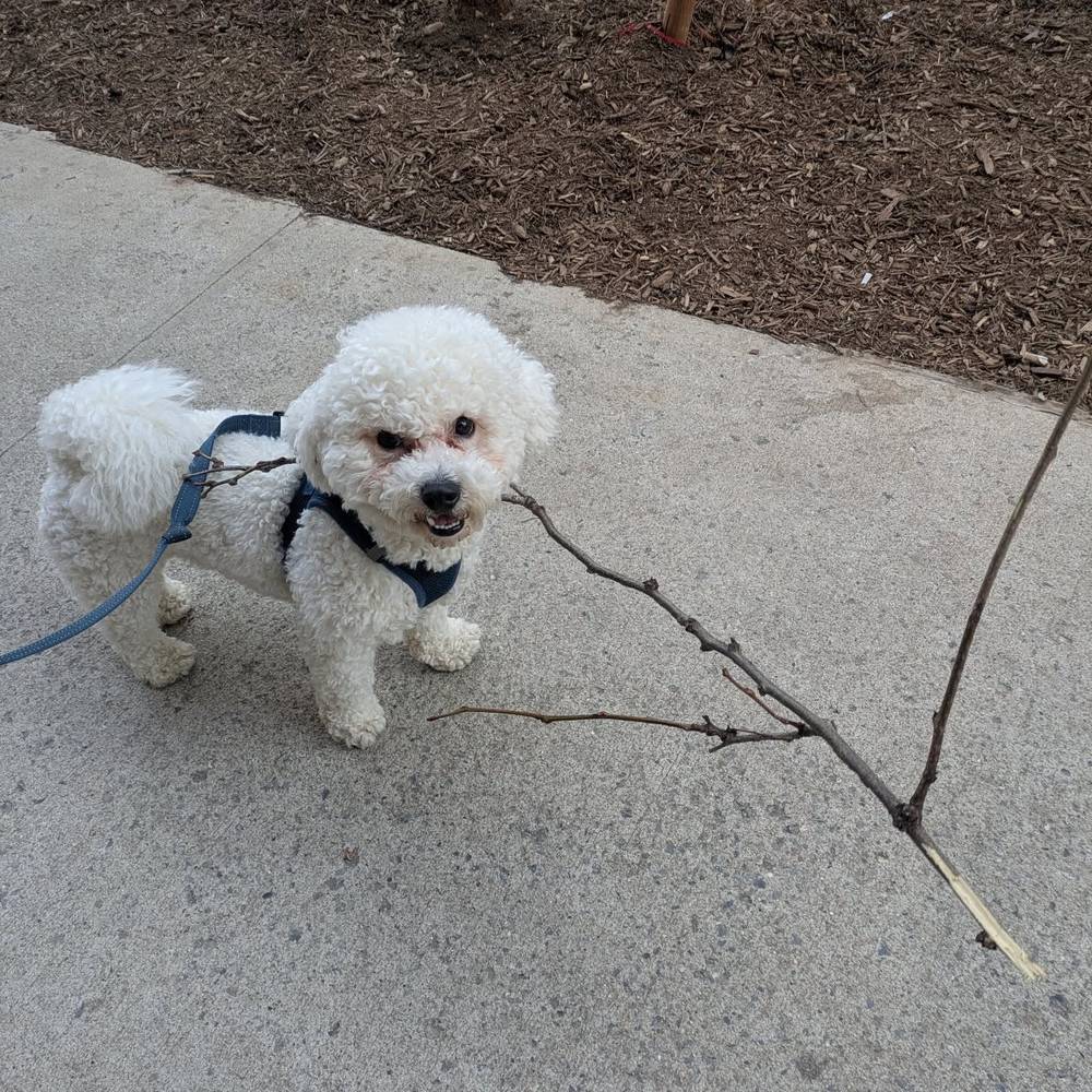 Very proud of today's stick