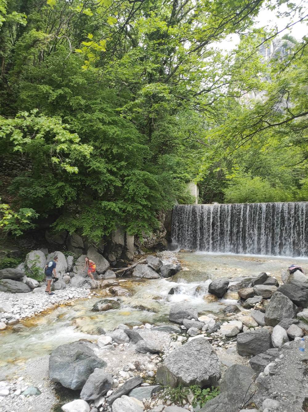 Florina/Pozar