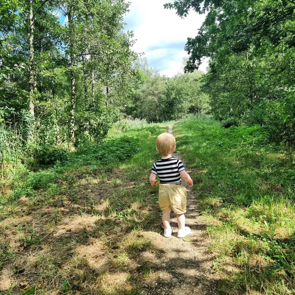 A toddler walking alone along a grassy path through the woods.