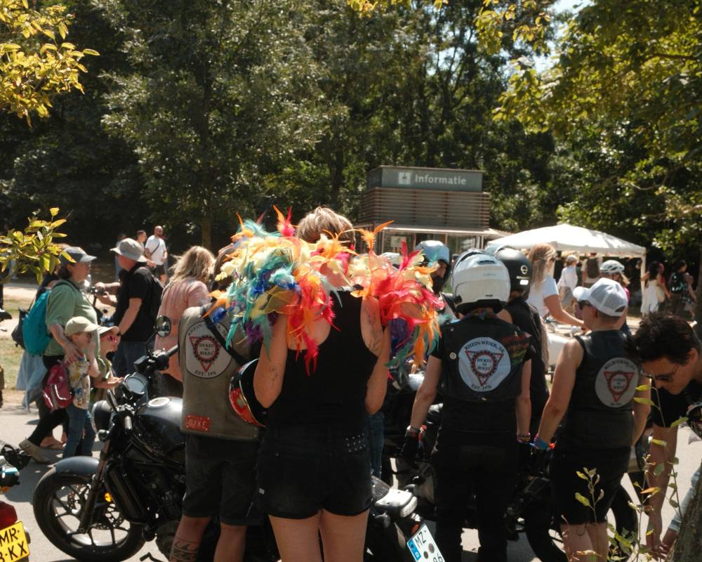Line of women with a woman in a feather boa