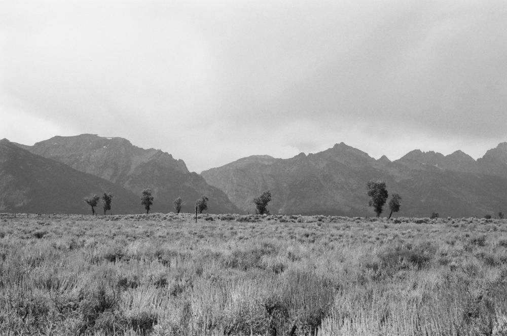 Road Trip - Grand Teton National Park , photo 2 of 4