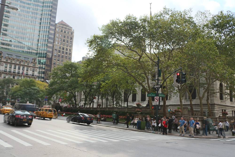 Taxis and pedestrians cross a busy intersection near a park.