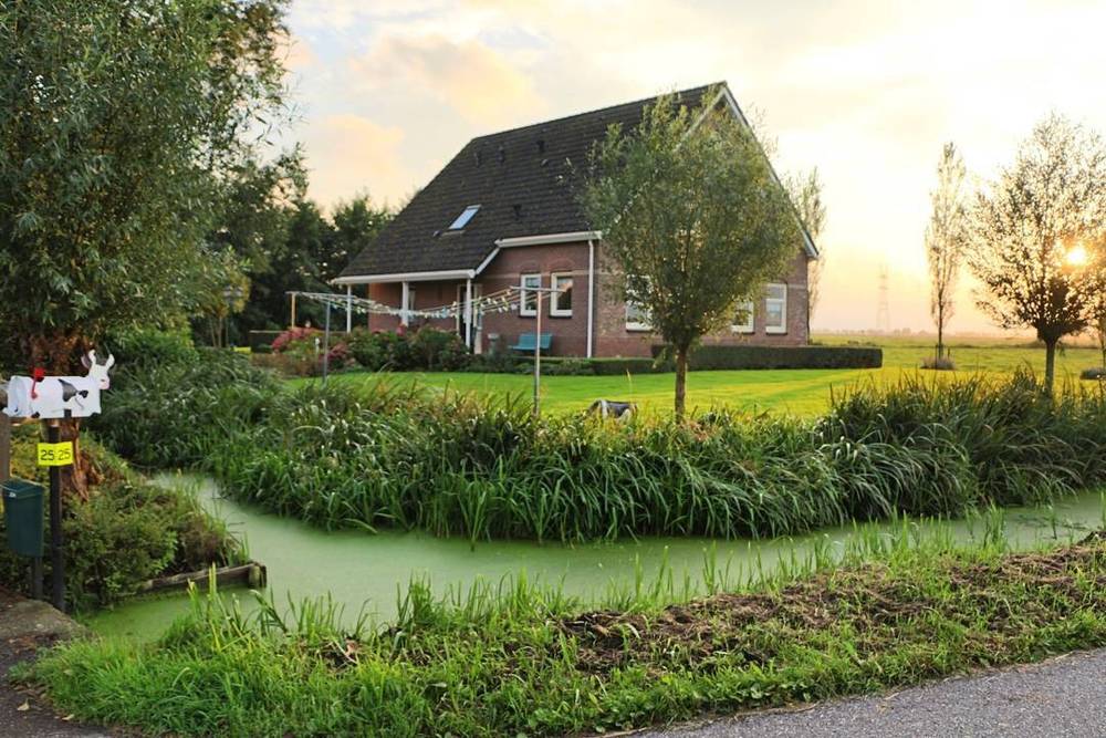 A Dutch farmhouse with a pond covered in green algae, surrounded by trees at sunset.