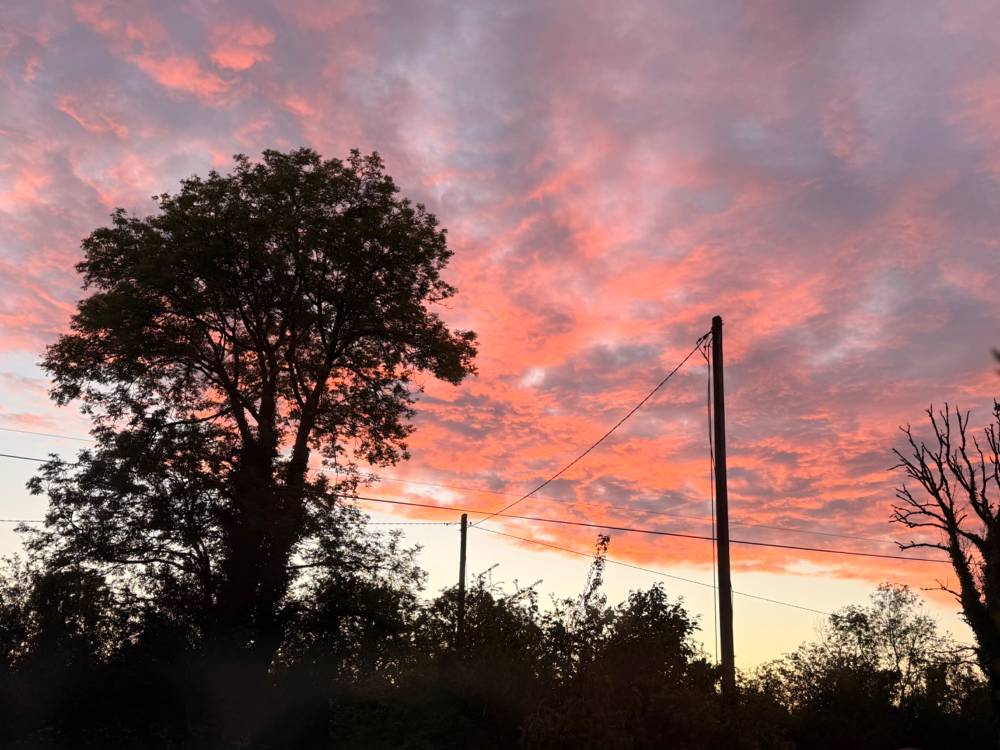 Twilight Sky