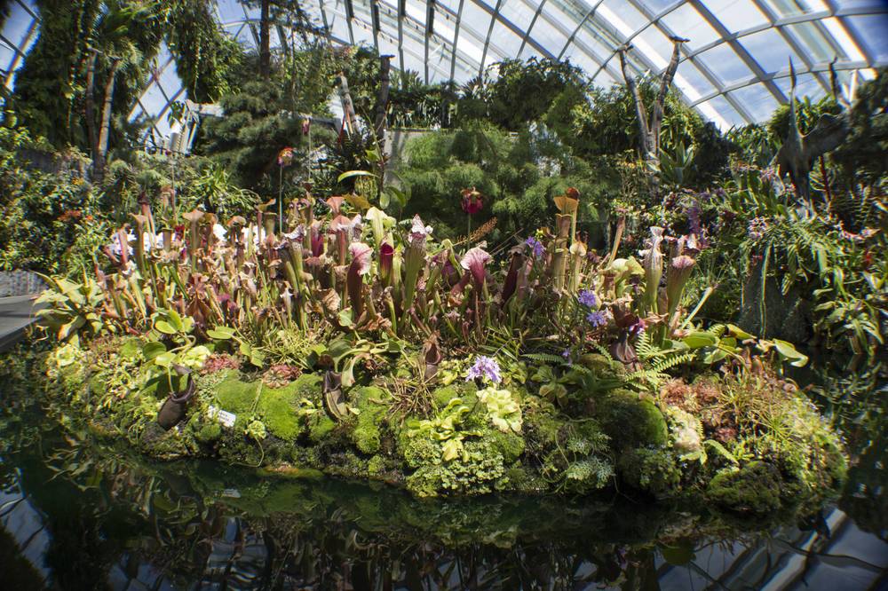 Singapore 2016 · Cloud Forest dome, Gardens by the Bay