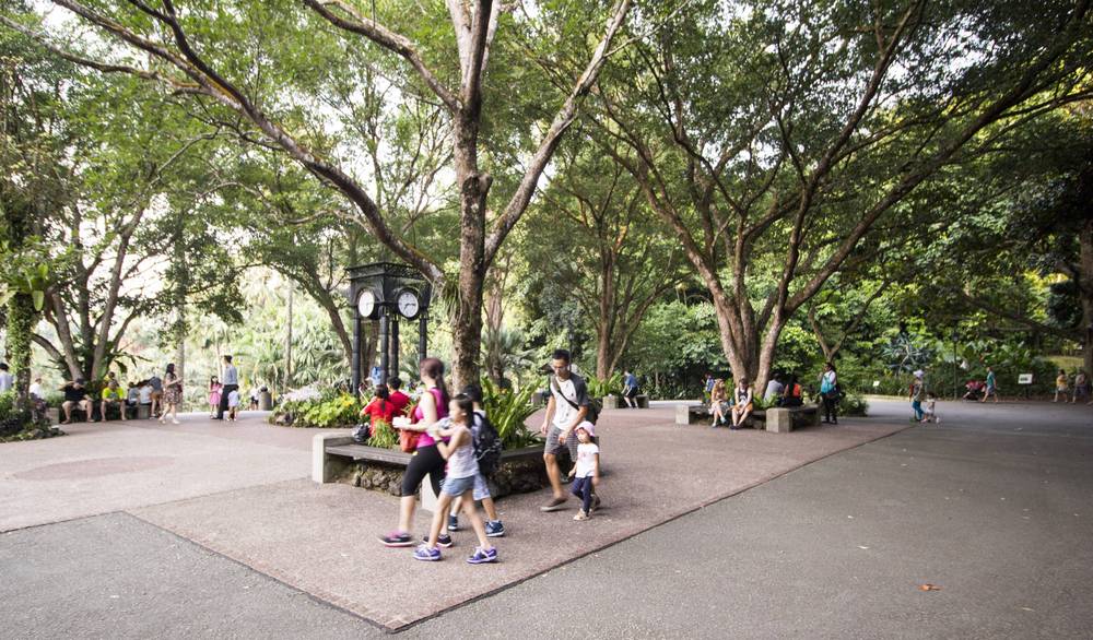A family walks past an ornate clock tower in a park under large rain trees.
