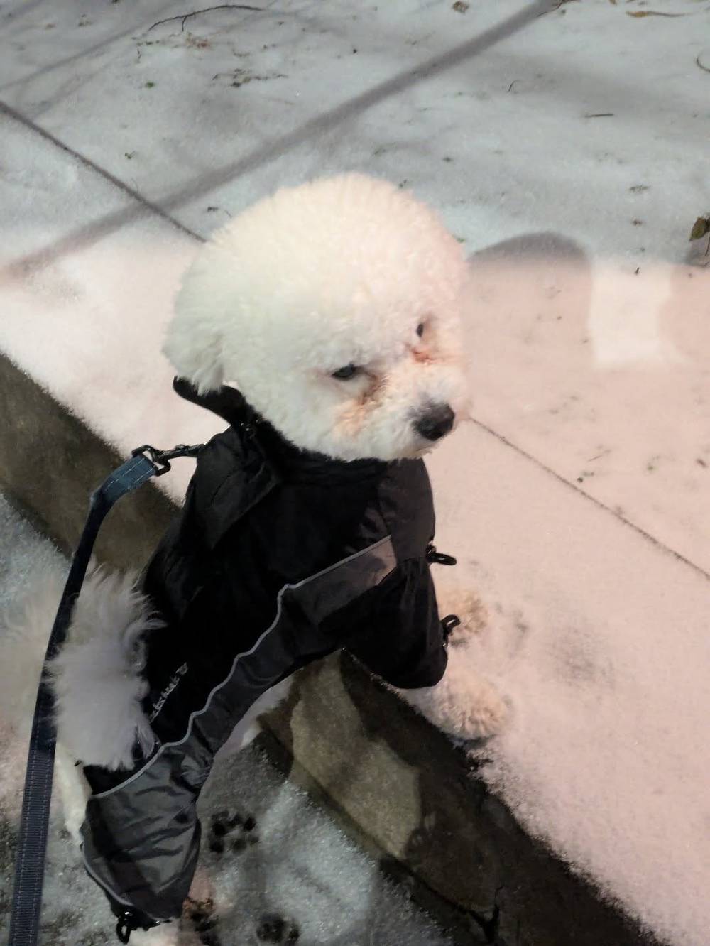 I still don't like snow....