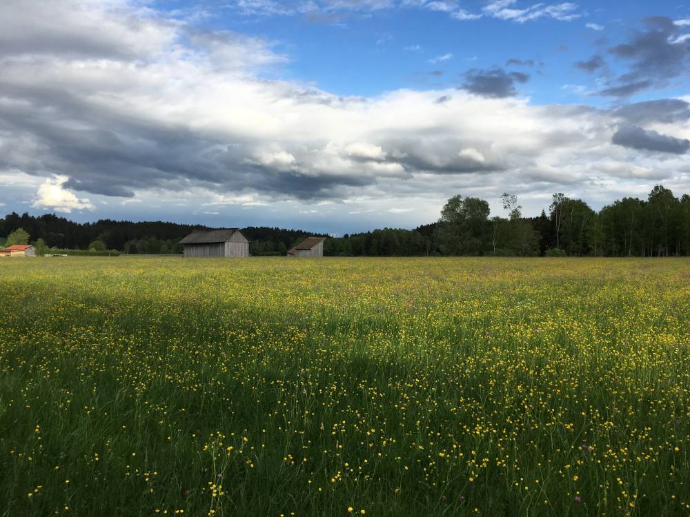 The Beauty of Spring