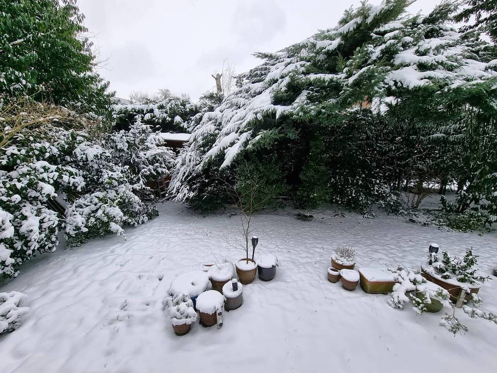 A snow-covered garden with frosted bushes and rows of covered plant pots.