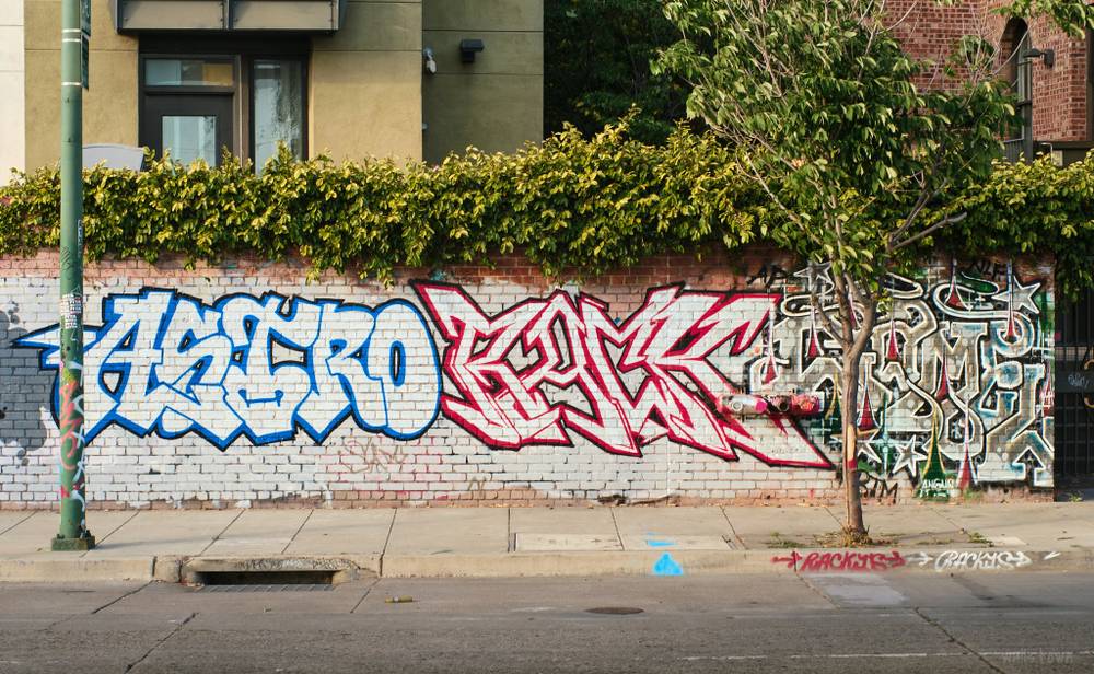 ASTRO / RACK / CAMEL