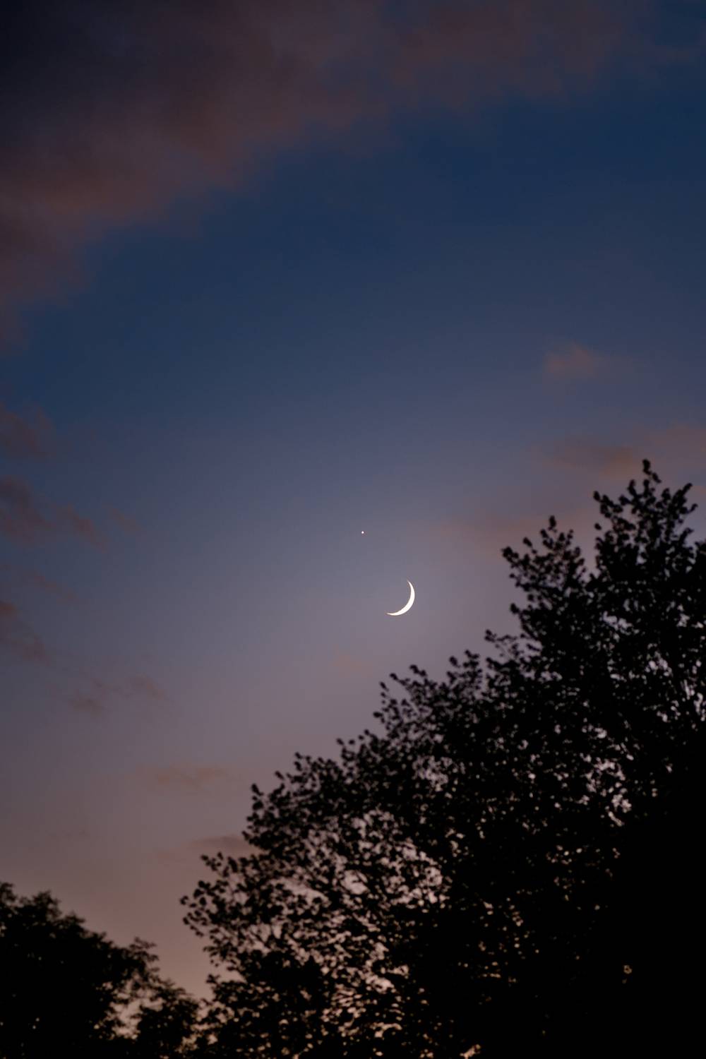 A thin crescent moon and the planet Venus appear together in the evening twilight above a silhouette of trees. The scene captures the two brightest objects in the night sky contrasting against a deep blue and purple dusk horizon.