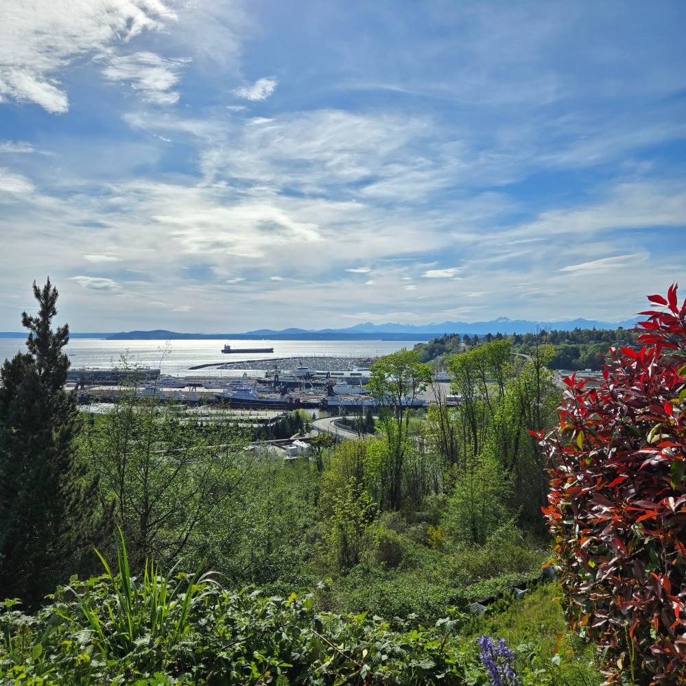 A sweeping elevated view over lush green hillside vegetation — including a striking red-leafed shrub in the foreground — looking down toward a working marina and port facility. Beyond the docks, a wide expanse of calm water stretches to a distant mountain range under a partly cloudy blue sky.