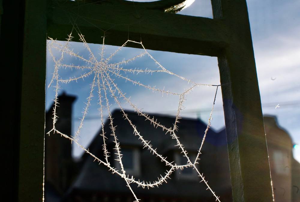 Un matin d'hiver