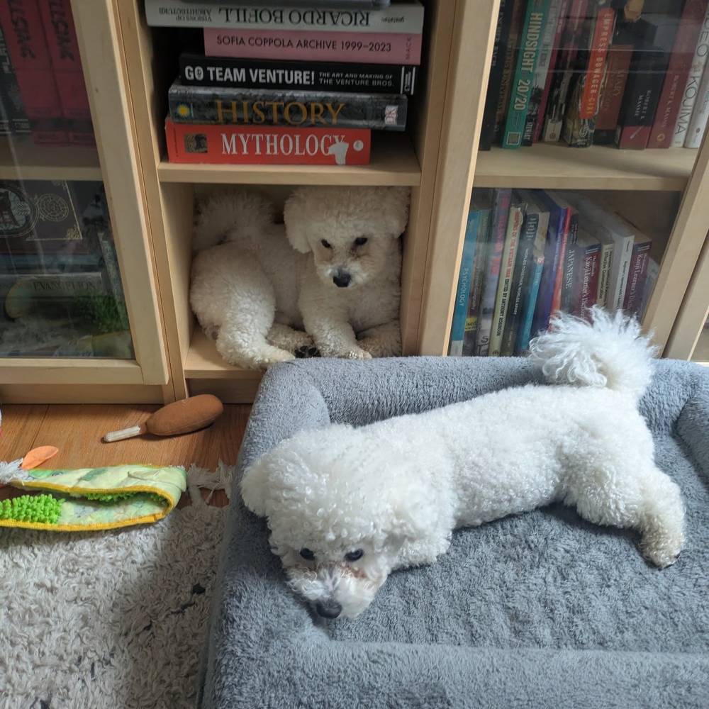 Two comfy brothers