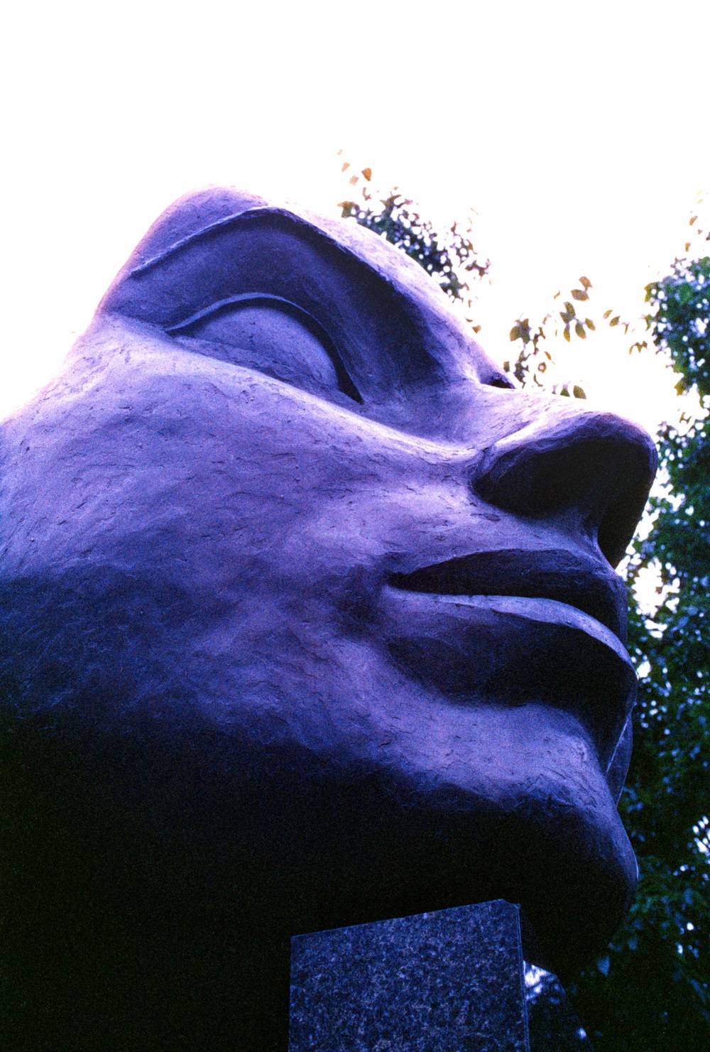 Face