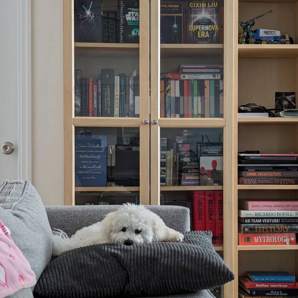 Lazy days at home are the best