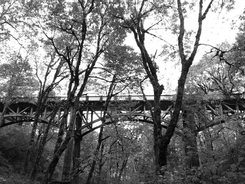 bridge #campsnap
