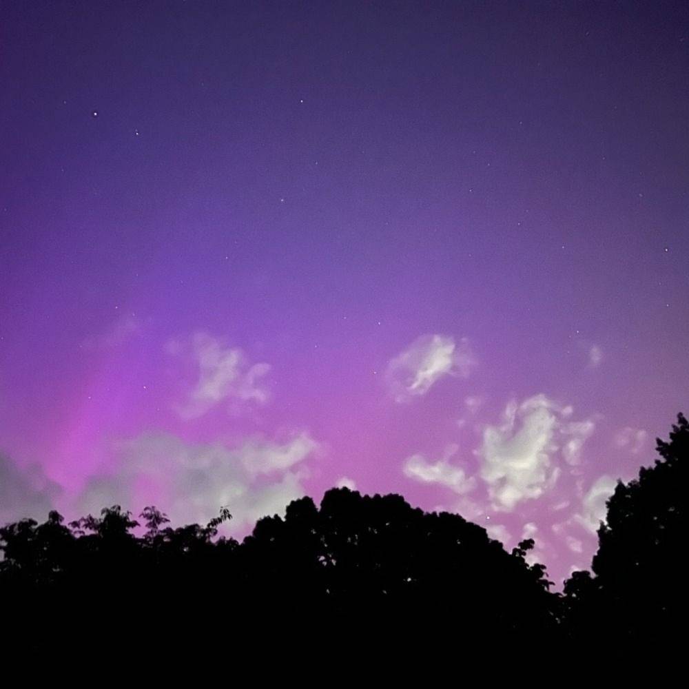 Nature Photography