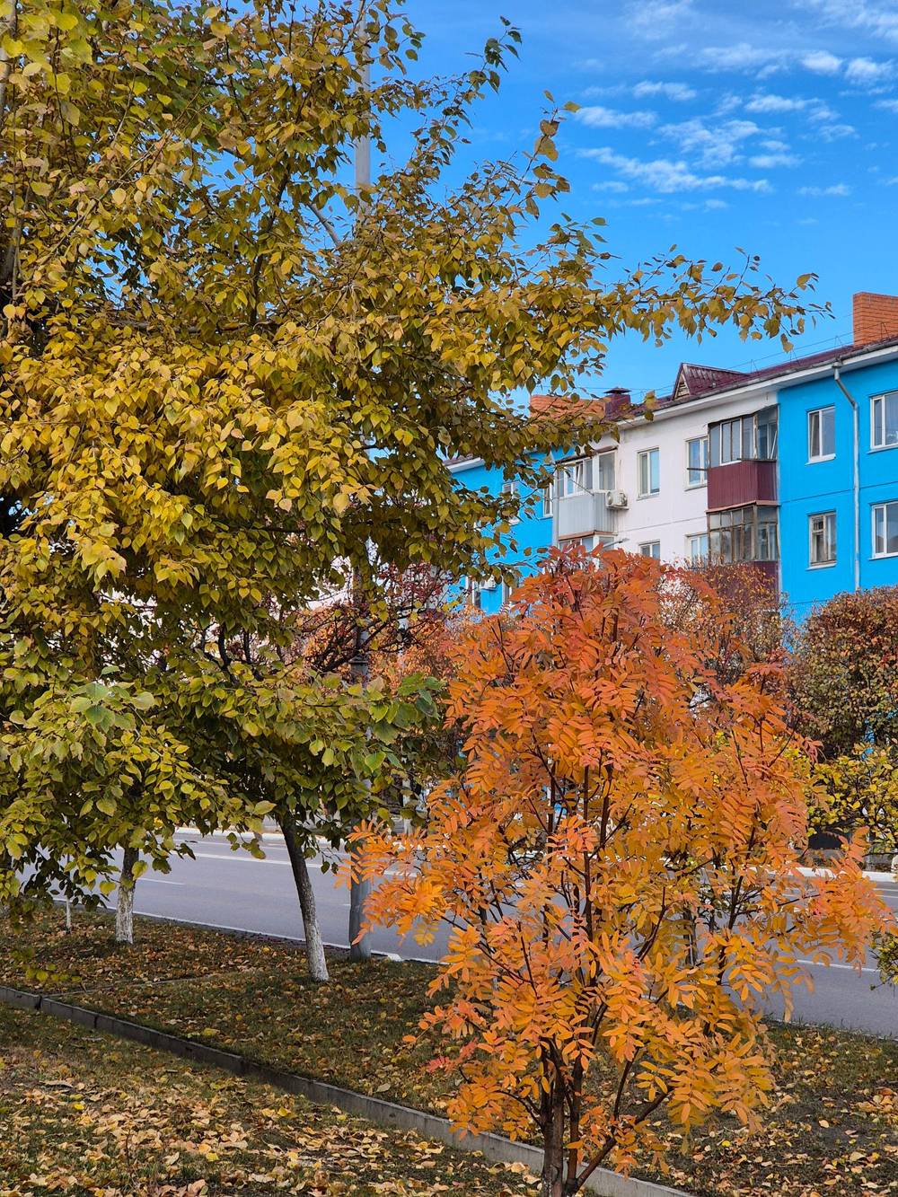 Autumn in Kokshetau, Kazakhstan