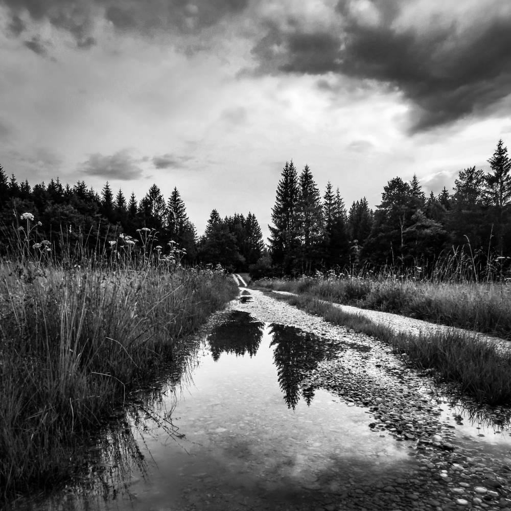 Reflection of a Journey