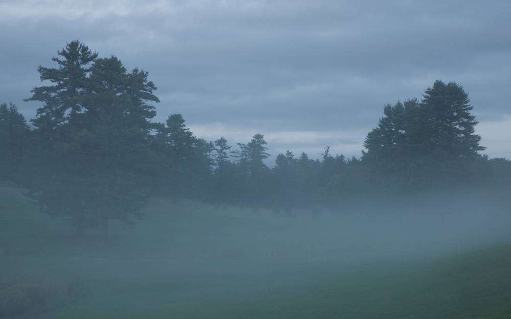 Evening fog
