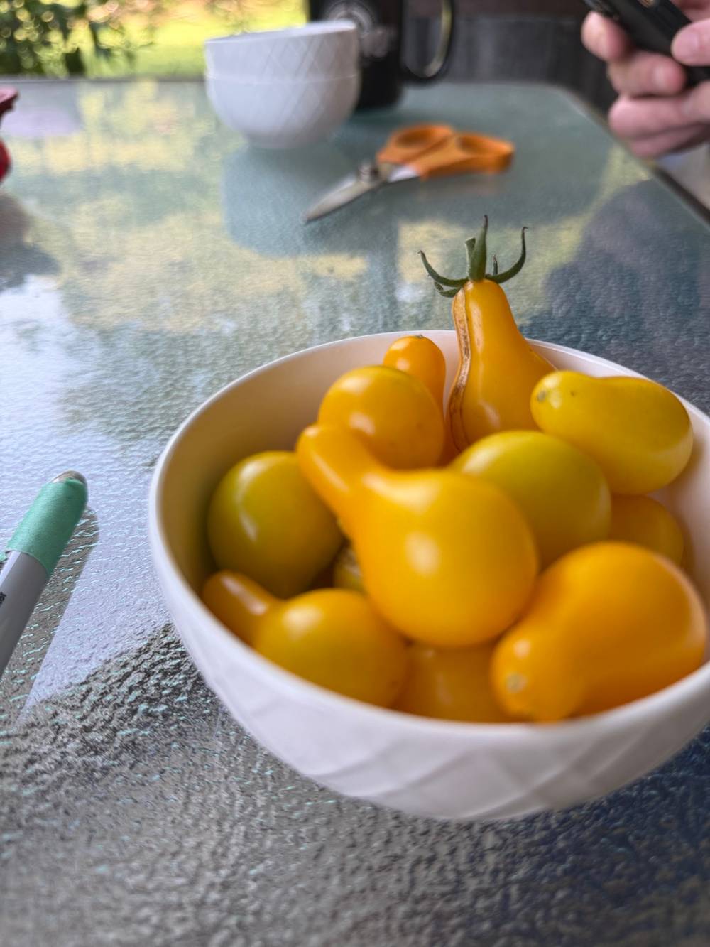Yellow pear tomatoes 