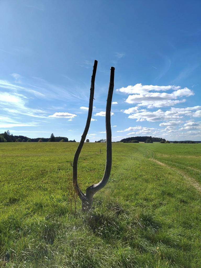 Natural tuning fork
