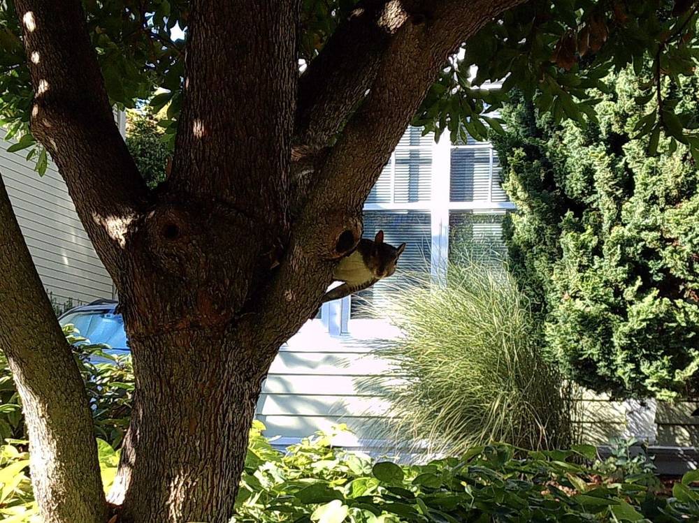 i saw a squirrel #campsnap