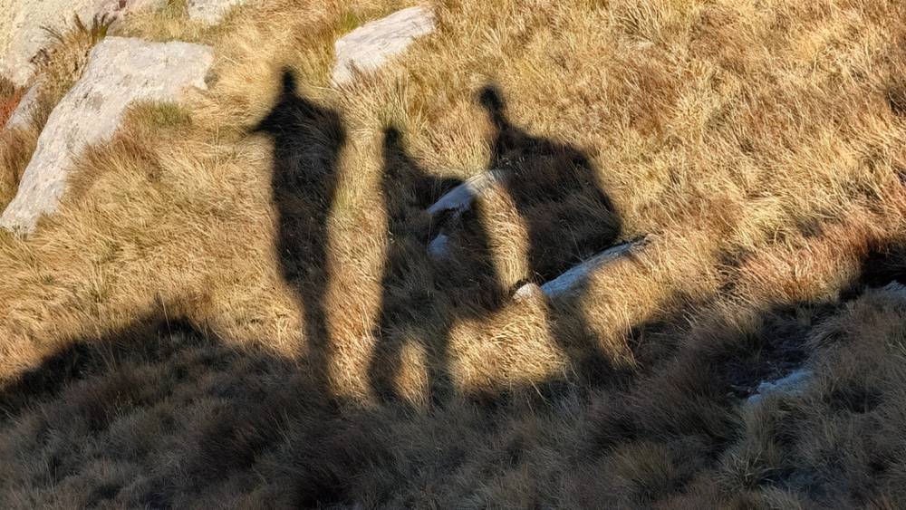 Three hikers
