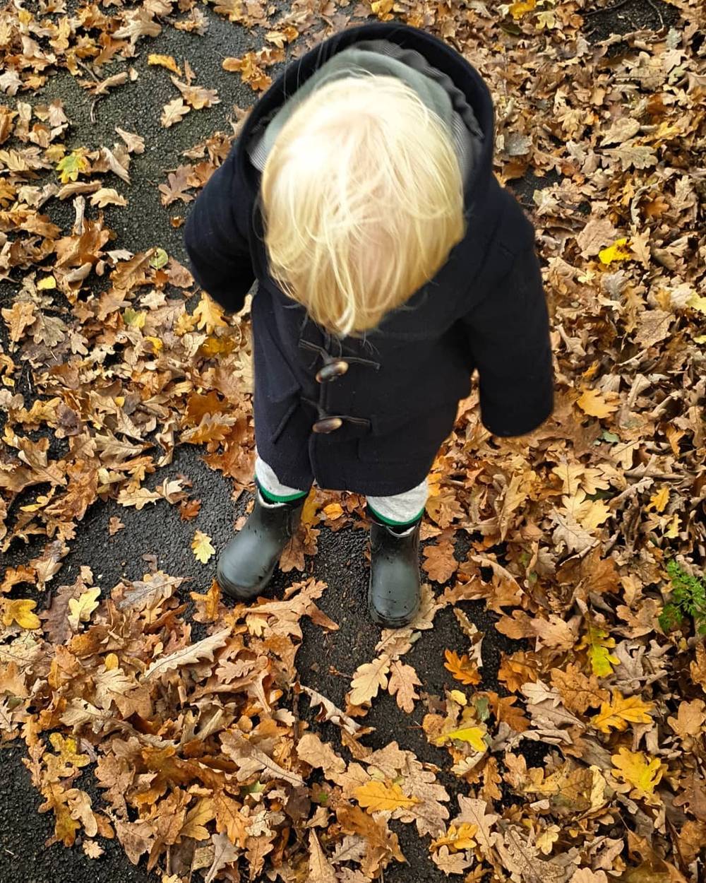 An overhead view of a toddler in a dark coat standing on a path covered in fallen autumn leaves.