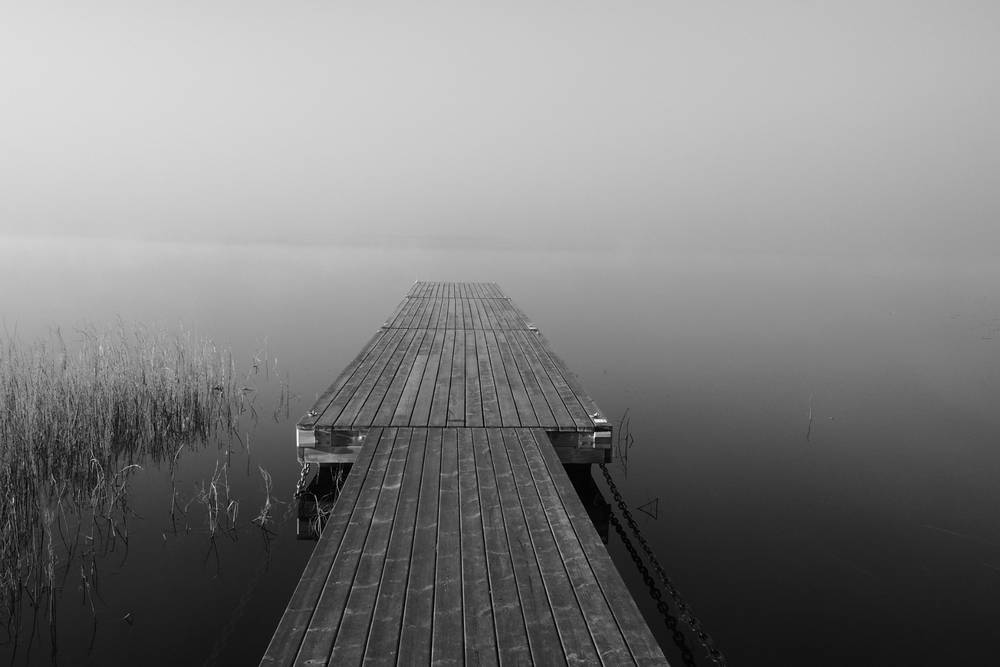 Swamp