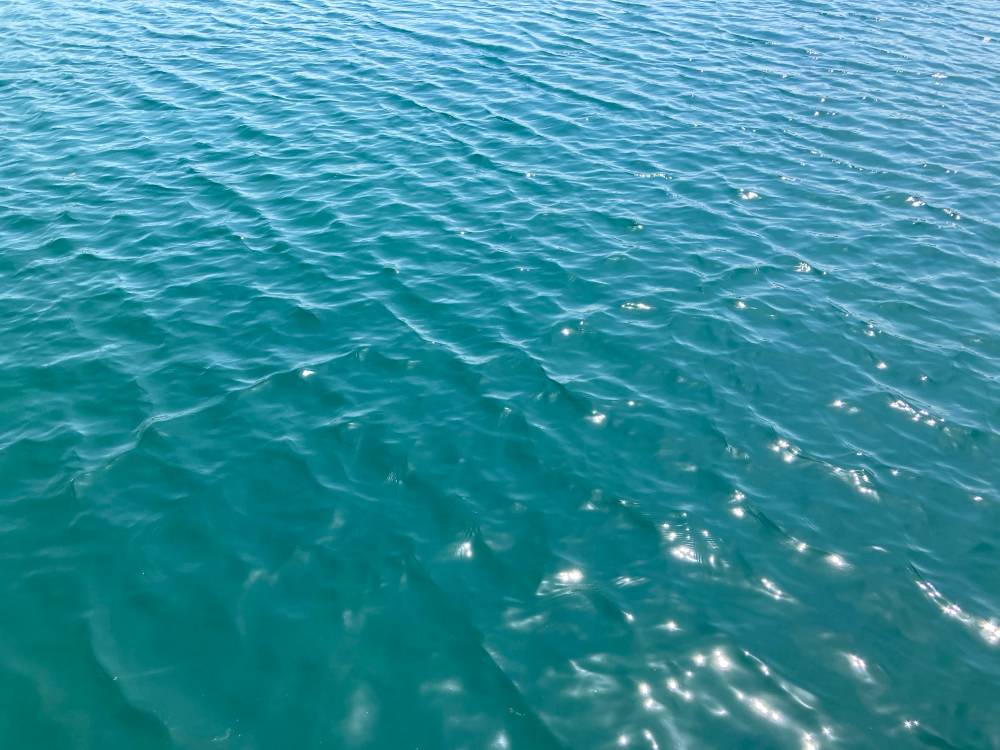 Sea