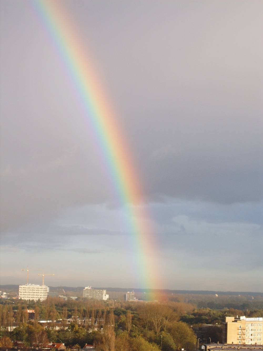 A bright rainbow rises above rooftops and trees seen from a high vantage point over Utrecht.