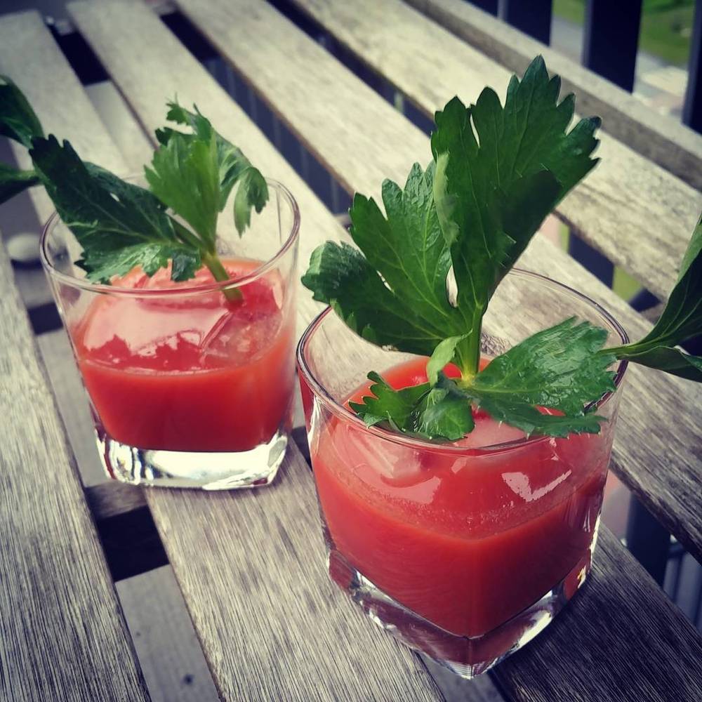 Two glasses of Bloody Mary cocktail garnished with fresh herbs, standing on a wooden bench outdoors.