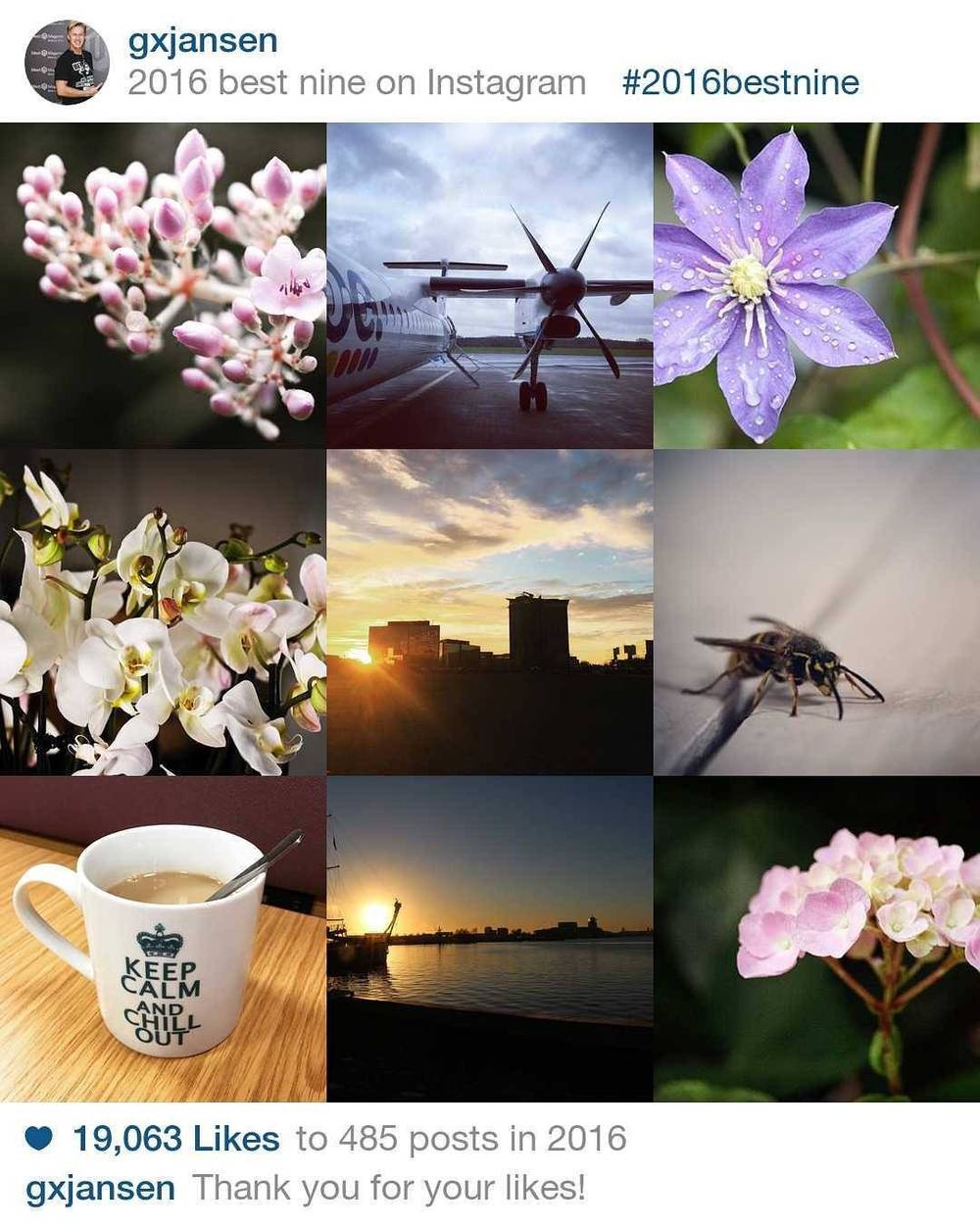 A 2016 Instagram "best nine" collage of flowers, an airplane, a sunset, and a coffee mug reading "Keep Calm and Chill Out."