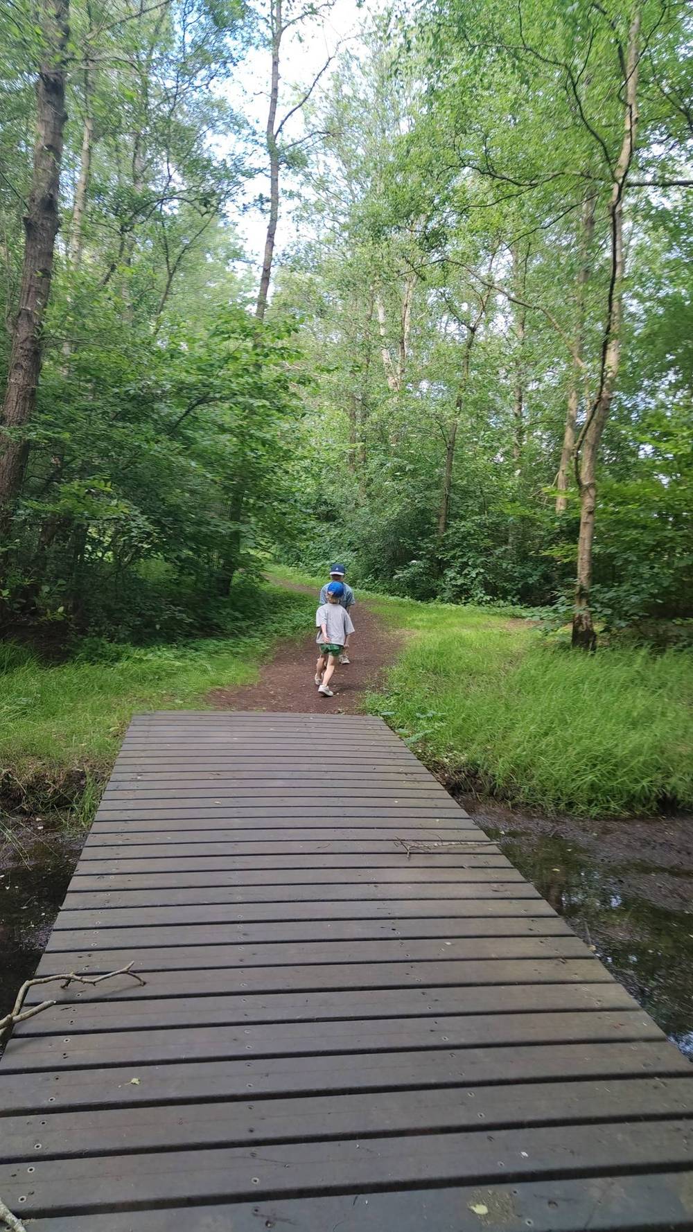 A child walks across a wooden boardwalk through a green forest.