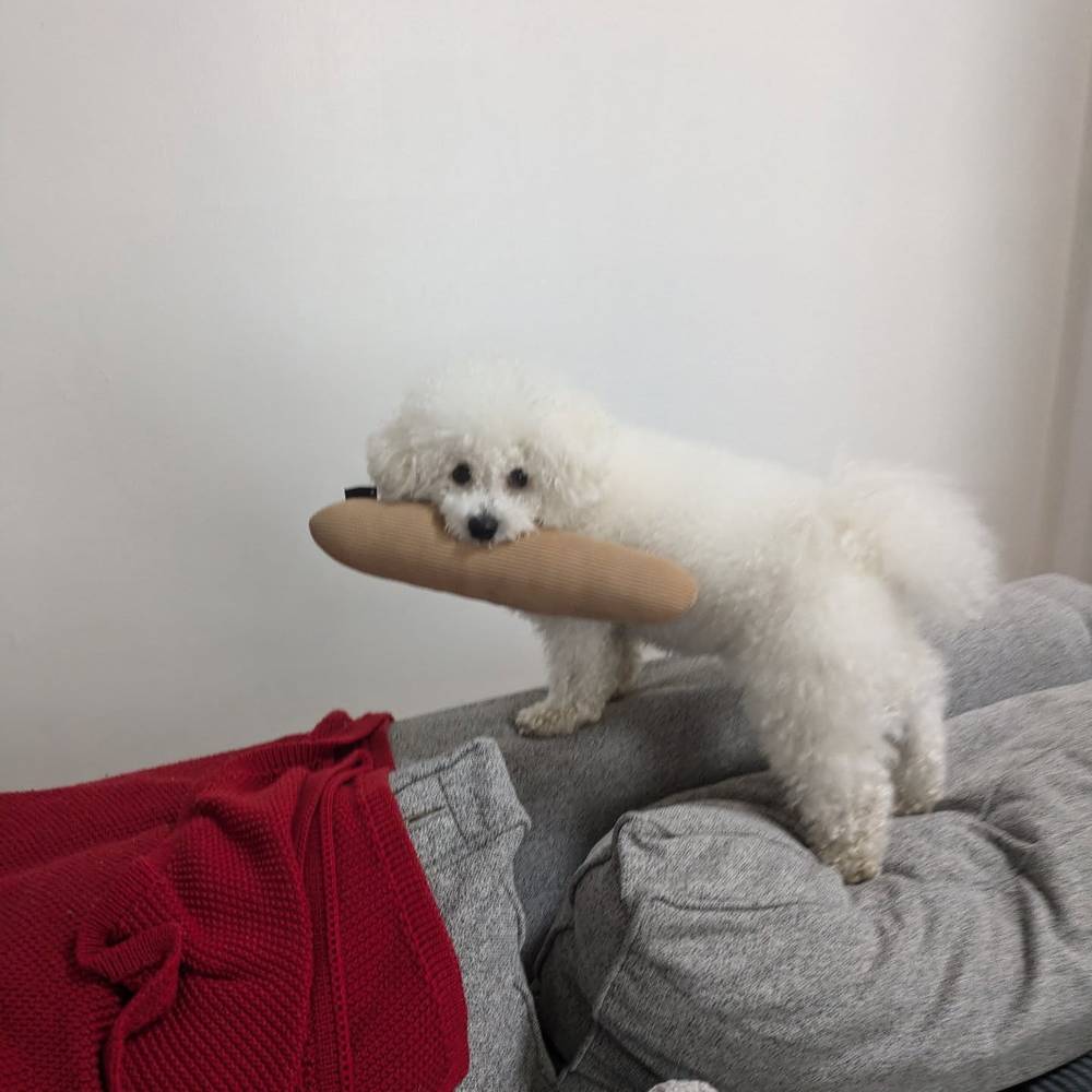 It's baguette time! 🥖