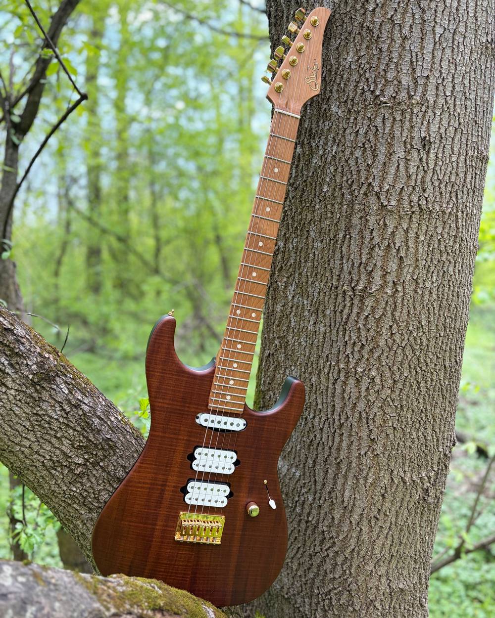 A guitar in the forest 