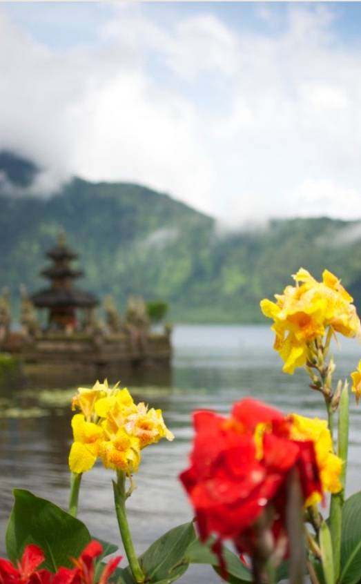 Bali