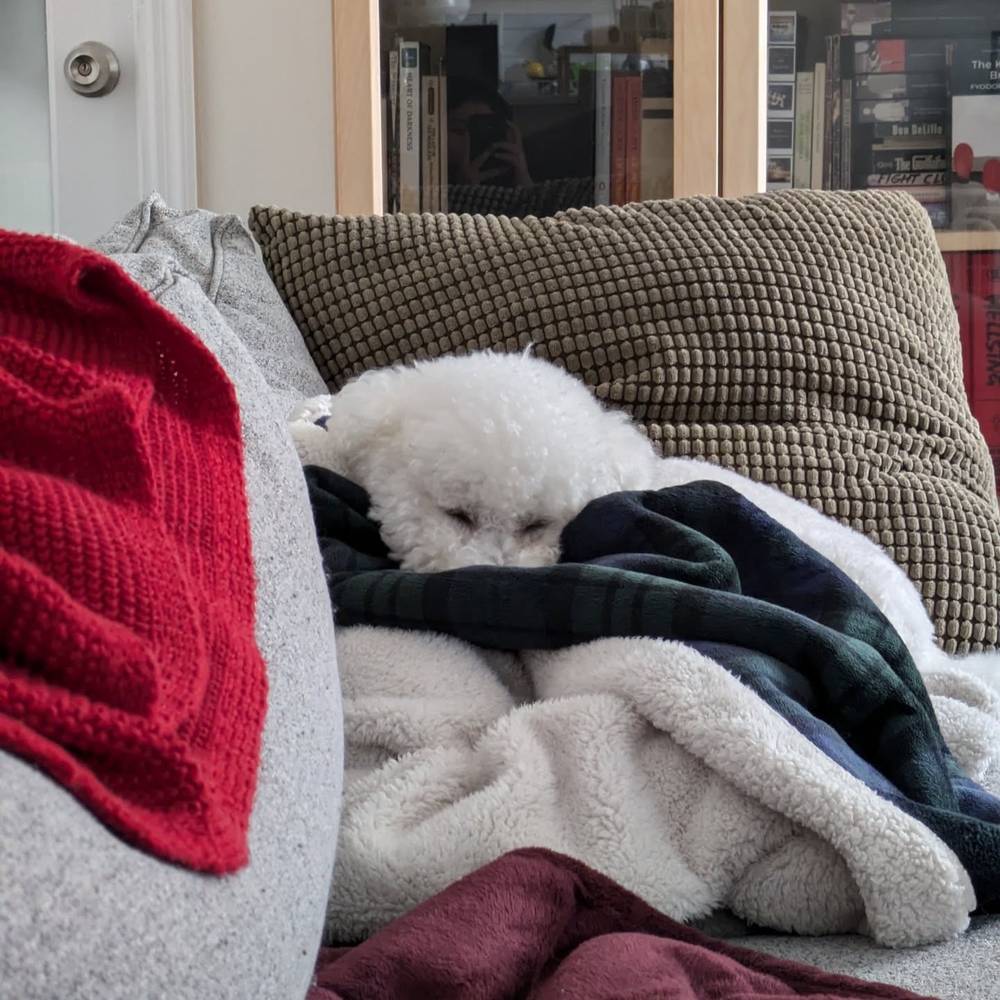 Evening power nap before dinner 😴😴, photo 1 of 1