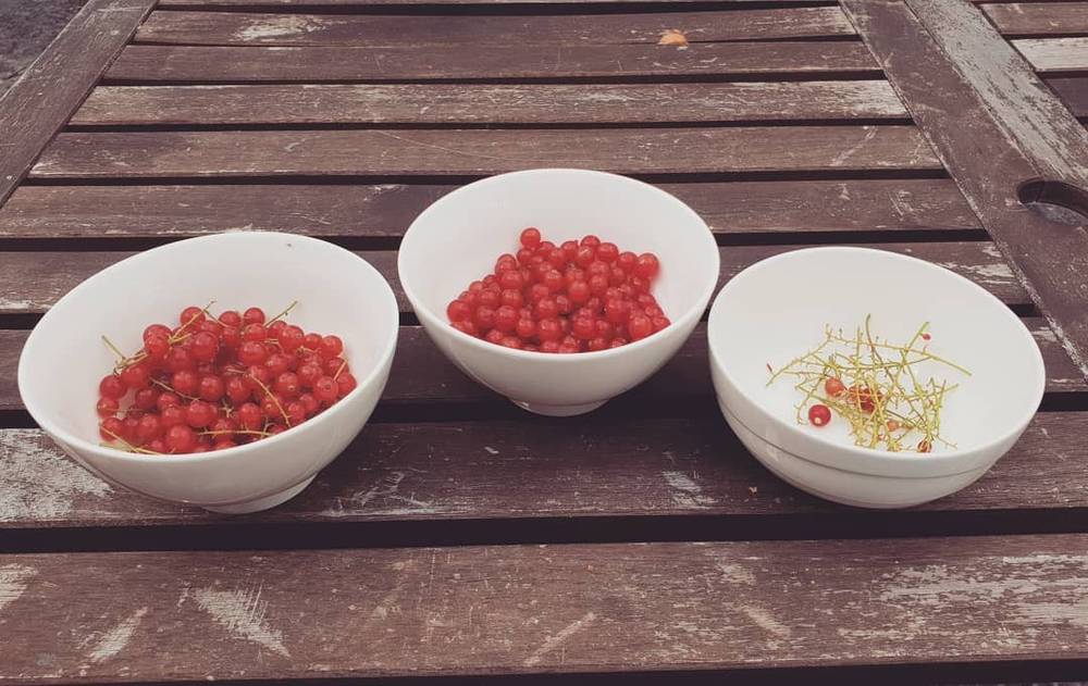 Three bowls on a wooden table: one with redcurrants, one with berries, one nearly empty.