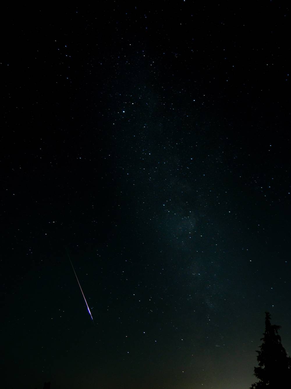 A long-exposure vertical photograph of a dark, starry night sky with a subtle Milky Way dust lane and a long, glowing meteor streak with a bright blue-green ionization point. In the lower-right corner, there is the dark silhouette of a lone evergreen tree.